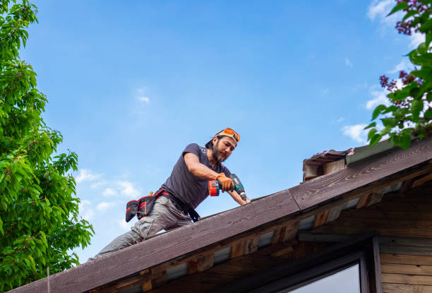 Best Metal Roofing Installation  in Delta, OH